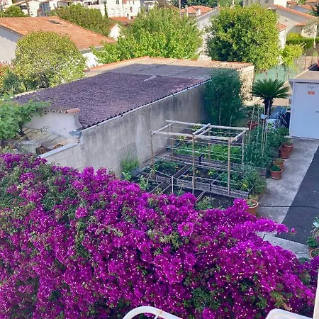 Cannes City B&B 3* Канны