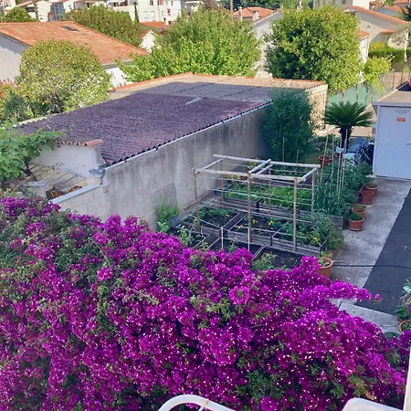 Cannes City B&B